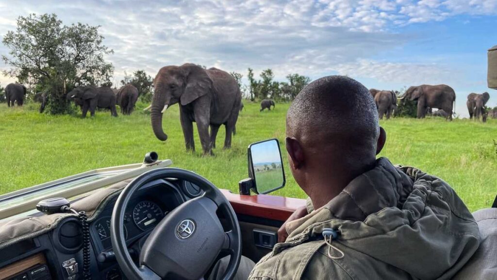 family African Safari