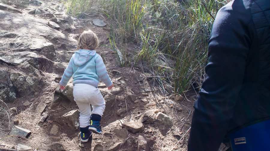hiking with toddler