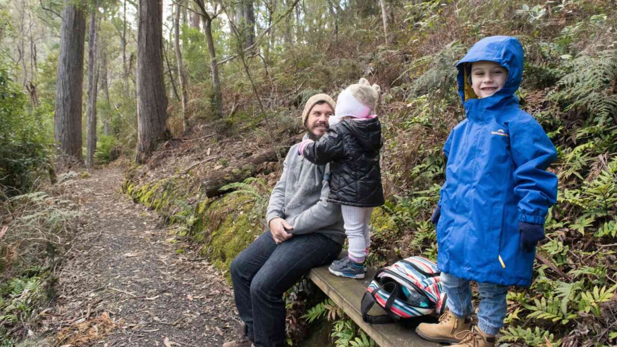 Hiking with a Toddler: Real Tips for Stress-Free Outdoor Adventures