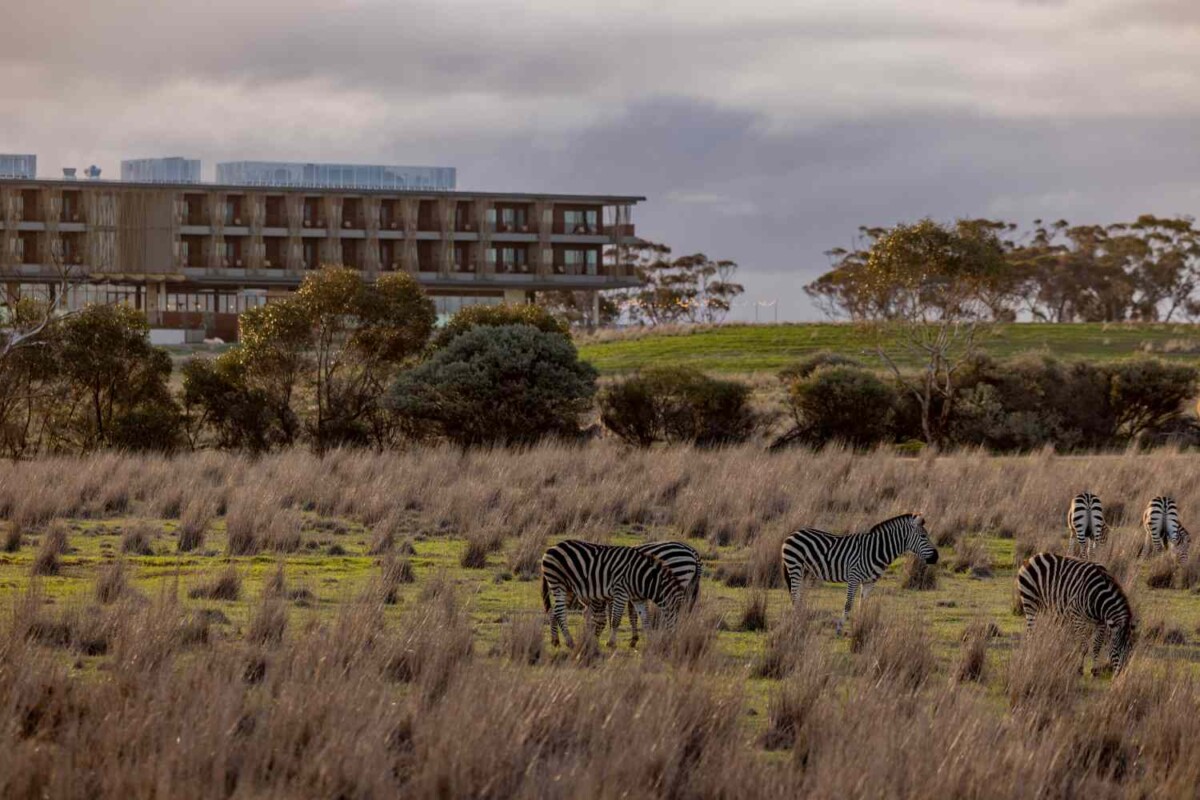Monarto Safari Resort
