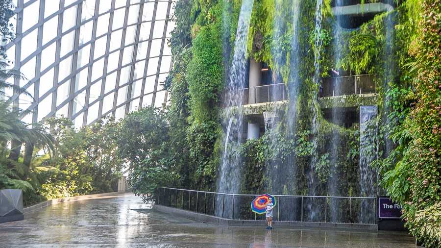 Singapore or Tokyo - Cloud Forest Dome, Singapore