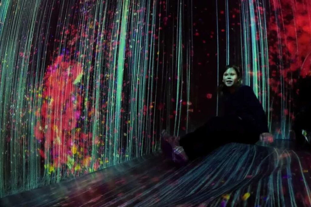 Singopore or Tokyo - teamLab Borderless in Tokyo