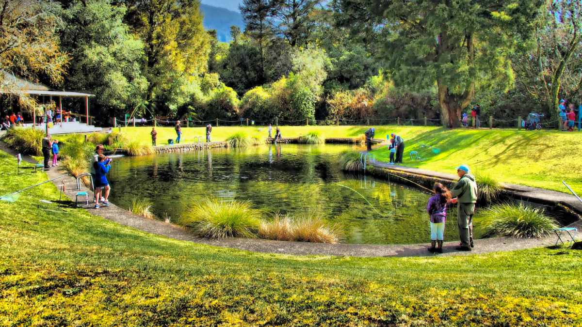 things to do in Taupo with kids