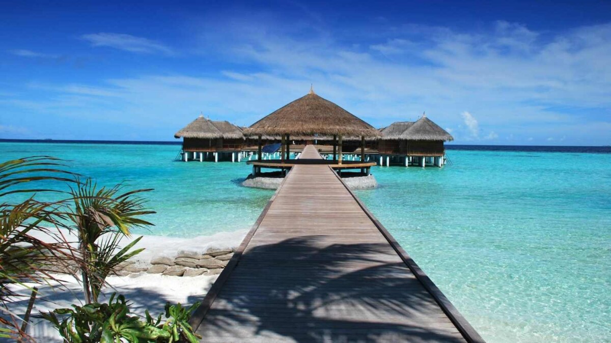 Best Family Holiday Deals This Month (November 2025)