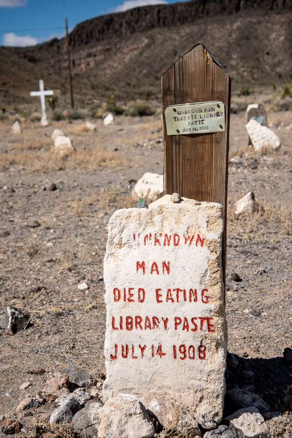 Las Vegas to Reno Free Range Art Highway