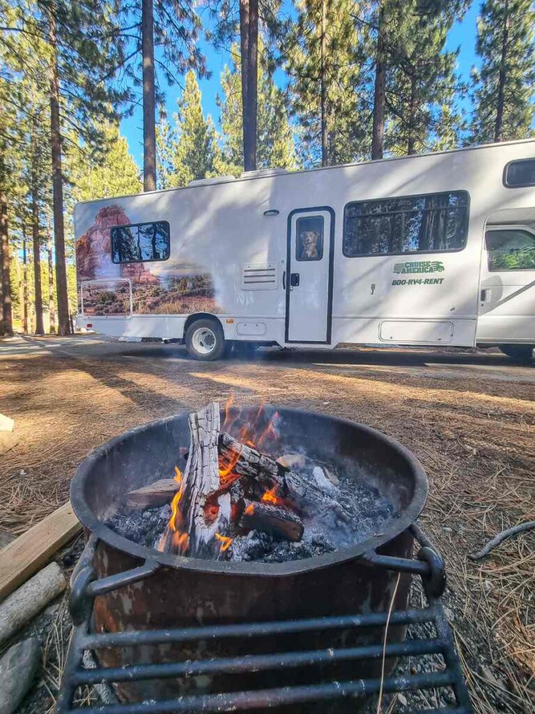 Las Vegas to Reno Free Range Art Highway