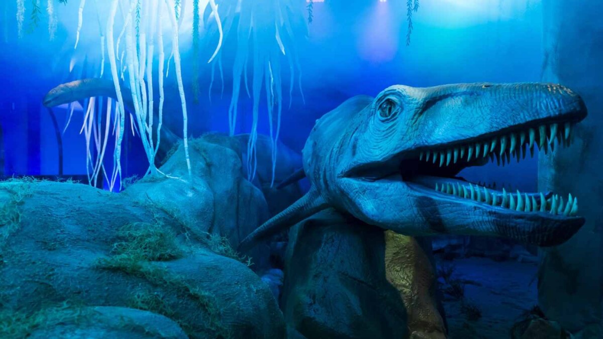 dinosaur valley scenic world