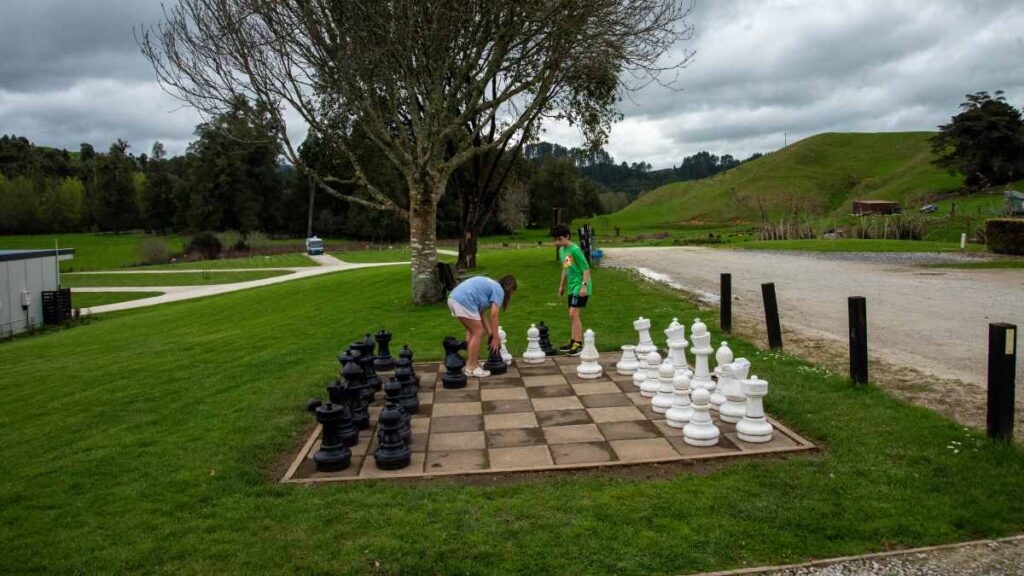 Auckland to New Plymouth