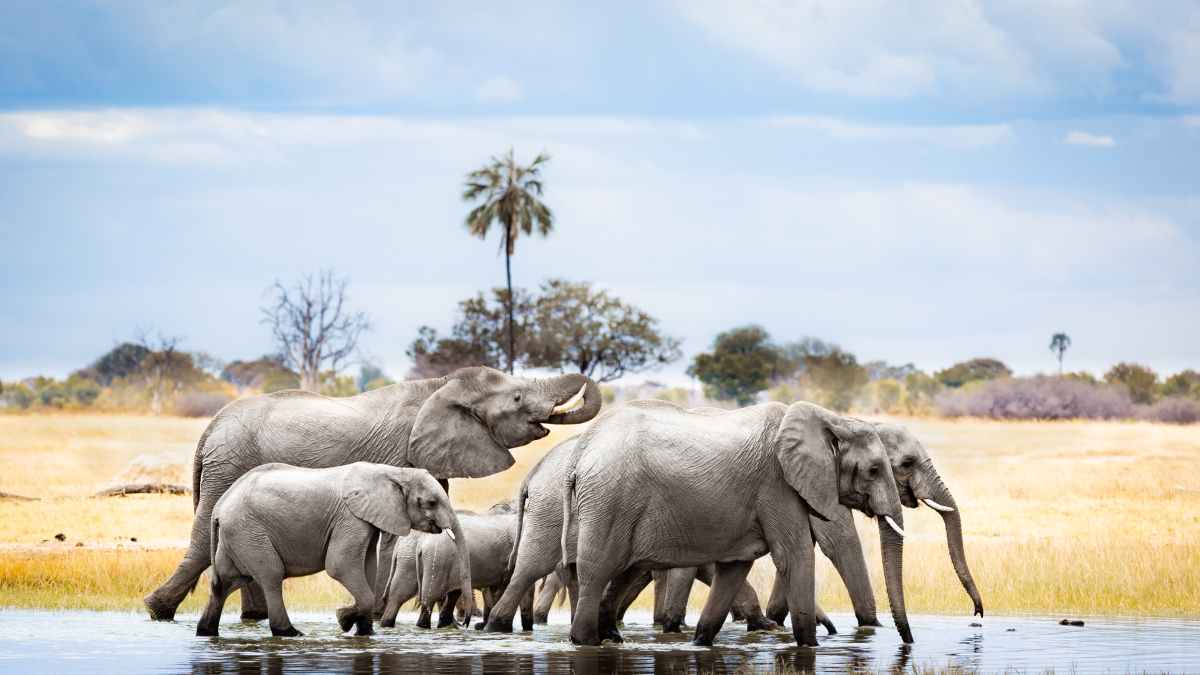 family holiday destinations