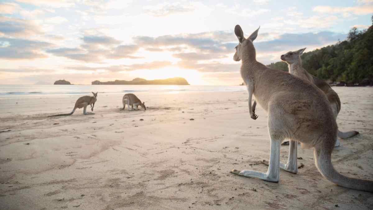 family holiday destinations