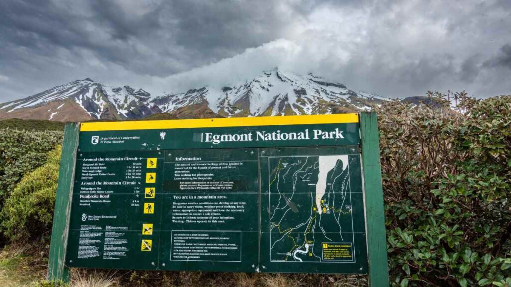 Manganui Gorge Bridge walk