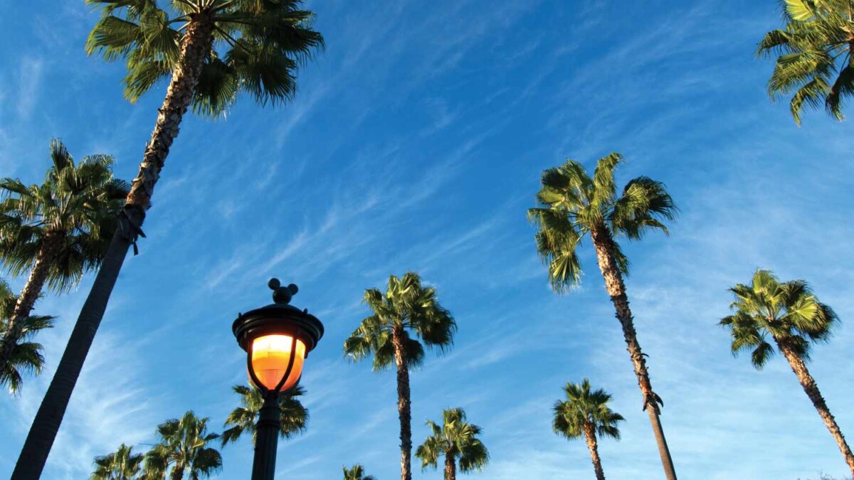 7-Day Anaheim Itinerary for Families: Disney Days & Beach Breaks