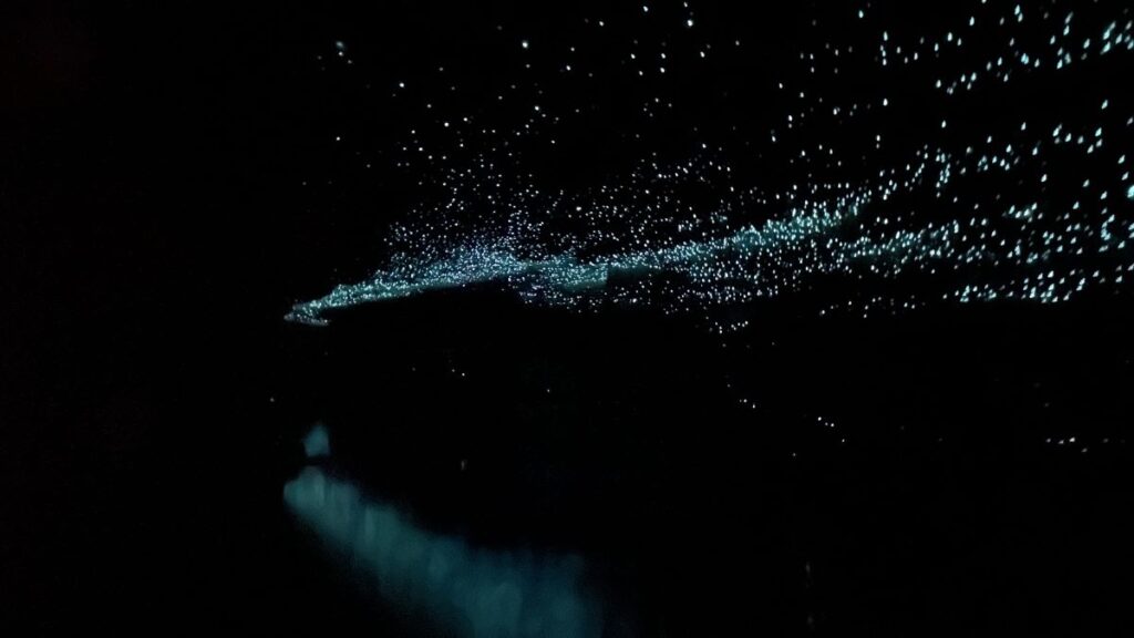 Spellbound Waitomo review