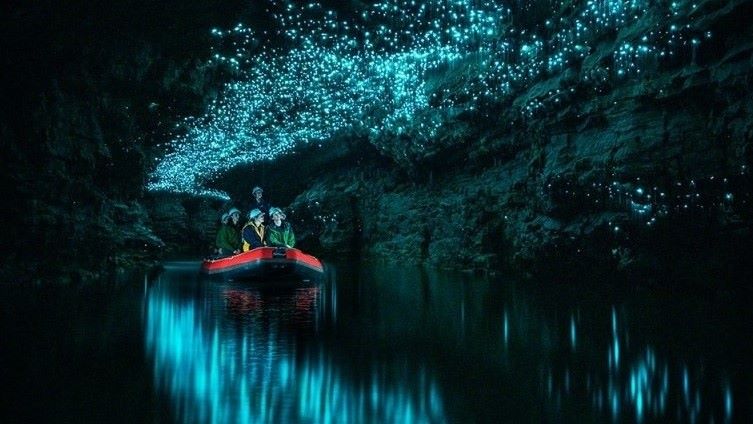 Spellbound Glowworm Cave Tour Review: What to Expect with Kids in Waitomo