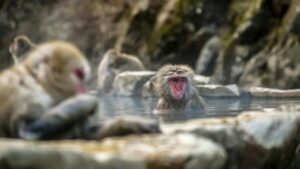 famout places in Japan