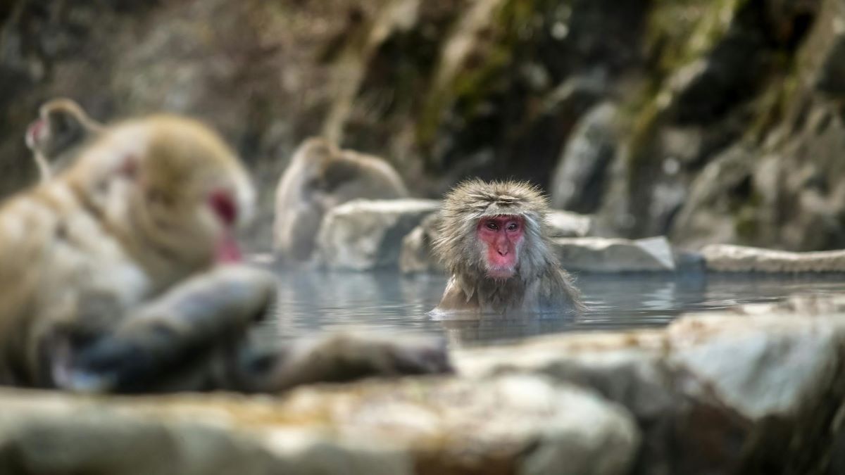 Famous Places in Japan: 13 Iconic Landmarks You Shouldn’t Miss