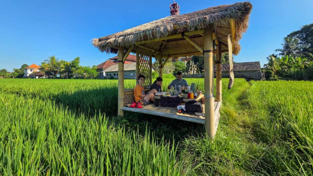 wellness travel for families