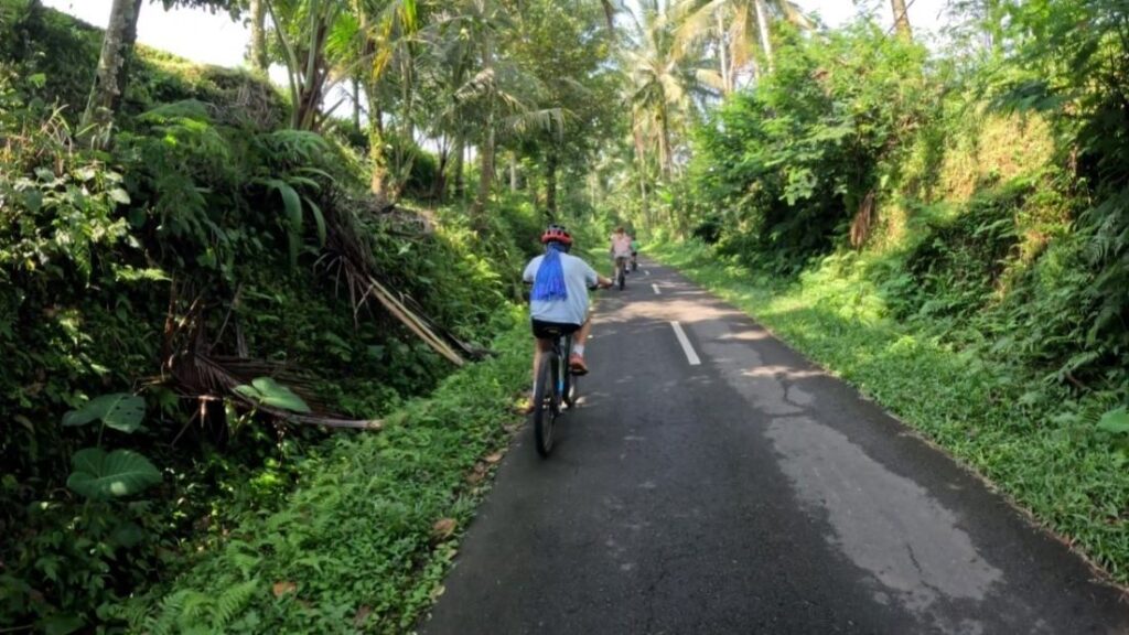 family tours Bali