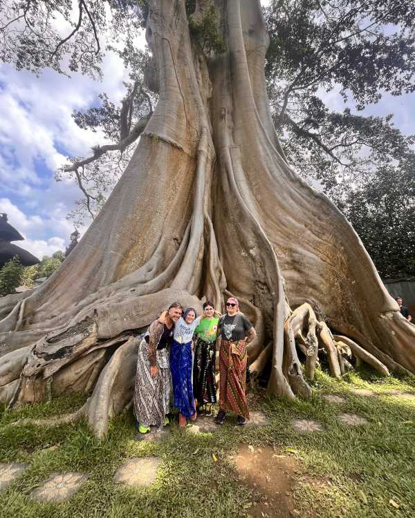 family tours Bali