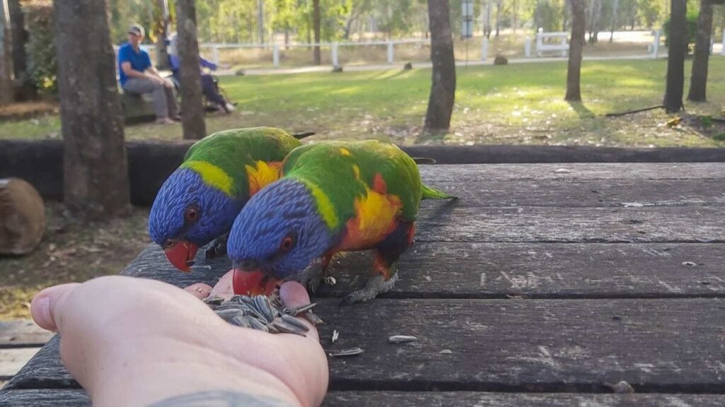 caravan parks in queensland