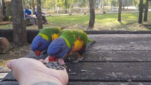 caravan parks in queensland