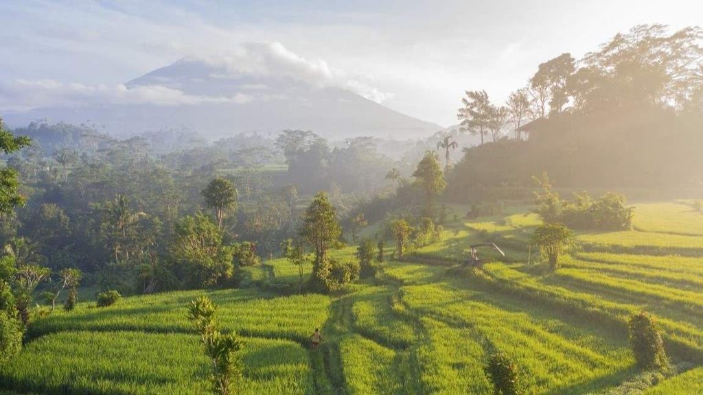 where to stay in Bali